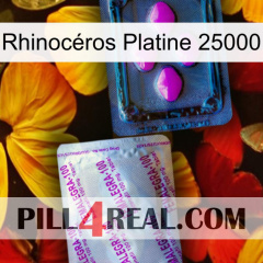 Rhinocéros Platine 25000 37